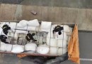 PRF intercepta caminhão de Palma Sola com 800 kg de maconha e prende motorista de Dionísio Cerqueira