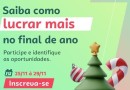 Sebrae e Ascoagrin promovem capacitação online para alavancar as vendas no natal