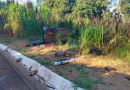 Colisão entre veículos deixa quatro gravemente feridos na BR-282