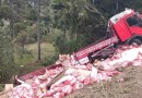Saída de pista seguida de capotamento é registrada em Santa Catarina