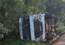 Motorista sai ileso após capotar caminhão carregado com suínos na BR-282 em Saudades