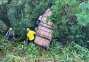 Cavalos ficam presos após trailer desprender de camionete e cair em ribanceira na BR-282