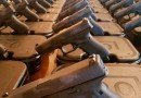 Proprietários de armas de fogo têm 60 dias para fazer cadastro