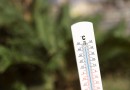 Final de semana terá sol e altas temperaturas em Santa Catarina