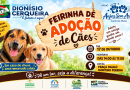Feirinha de adoção de cães do Anjos Sem Asas, do canil Cris Muniz, será realizada no dia 17 de outubro
