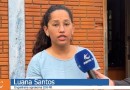 IDR Paraná promove eventos técnicos sobre cultivo de morango e bioinsumos