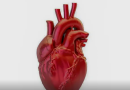 Brasil registra uma morte por doença cardiovascular a cada 72 segundos