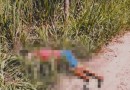 Mulher é presa suspeita de mandar matar estuprador da filha de 11 anos