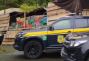 PF apreende mais de 6,5 toneladas de maconha em Joinville