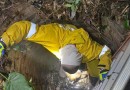 Bombeiros resgatam cachorro que caiu em poço de quatro metros
