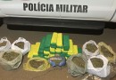 Adolescente é flagrada com mais de 40 kg de maconha em ônibus durante operação Tiradentes