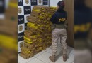 PRF apreende 415 quilos de maconha após traficante bater carro em árvore