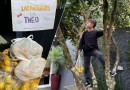 Criança distribui laranjas a vizinhos e transforma gesto simples em lição de gentileza em Ponte Serrada
