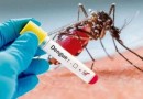 Brasil ultrapassa 1 milhão de casos prováveis de dengue em 2025