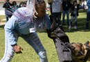 Ataque de cães é principal causa de acidente de trabalho dos leituristas da Sanepar
