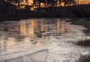 SC abaixo de zero: 30 cidades registram temperaturas negativas neste domingo