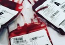 Hemosc atualiza critérios para doação de sangue em Santa Catarina