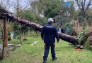 Chuvas deixam 720 desabrigados em Eldorado do Sul