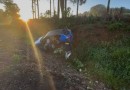 Perseguição termina com motorista preso após cair de barranco com carro furtado e 120 kg de maconha