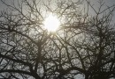 Massa de ar seco mantém o tempo firme e eleva as temperaturas ao longo da semana