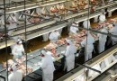 Agro de SC alcança valor de R$ 61 bilhões em 2022 e responde por 64,4% das exportações