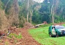 Operação Mata Atlântica em Pé: PMPR aplica mais de R$ 19 milhões em multas