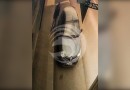 Vídeo mostra exato momento de furto de veículo em Guaraciaba e o momento em que a PRF o recupera em Chapecó