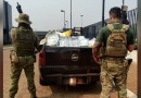 Quase meia tonelada de agrotóxicos são apreendidos