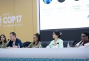Sociedade civil rejeita agenda excludente aprovada no início da COP17