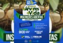 Projeto +Árvores +Vida abre inscrições em Dionísio Cerqueira