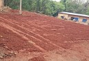 Município prepara horta municipal em parceria com escolas