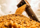 Brasil deve exportar 12 milhões de toneladas de soja em maio
