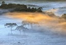 Frio intenso pinta a Serra catarinense de branco com temperaturas negativas