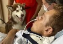 Paciente internado recebe visita do cão de estimação, se emociona e melhora!