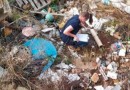 Sobe para 40 o número de focos do mosquito Aedes Aegypti em Maravilha