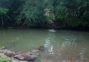 Menino de 12 anos morre afogado em rio no interior de Vargem
