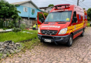 Trabalhador despenca de árvore enquanto fazia poda