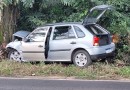 Mulher fica ferida após carro sair da pista e colidir em árvore