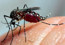 São Miguel do Oeste confirma primeira morte por dengue em 2025