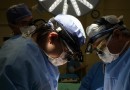 SC registra 26 doadores efetivos de órgãos por mês em 2024