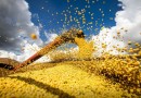 Brasil estima colheita de 354,8 milhões de toneladas de grãos