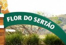 Flor do Sertão é a única cidade de Santa Catarina sem mortes por Covid-19