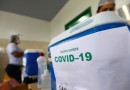 Brasil registra menor média móvel de mortes desde o início da pandemia