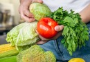 Santa Catarina é o Estado com maior segurança alimentar do Brasil