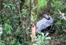 Saída de pista na SC-283 deixa cinco feridos