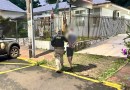 Cachorra de faro da PRF encontra drogas escondidas em veículo na BR-163