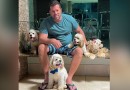 Jovem é preso após invadir casa de vizinho e esfaquear 3 cachorros em SC