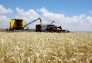 Conab estima 284,4 milhões de toneladas de grãos para safra 2021/22