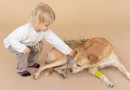 Convívio com pets traz benefícios a crianças, como aprender a engatinhar e bem-estar