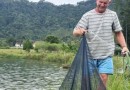 Produção de tilápia cresce em SC aliada a estudos de DNA e peixe se torna queridinho da Quaresma